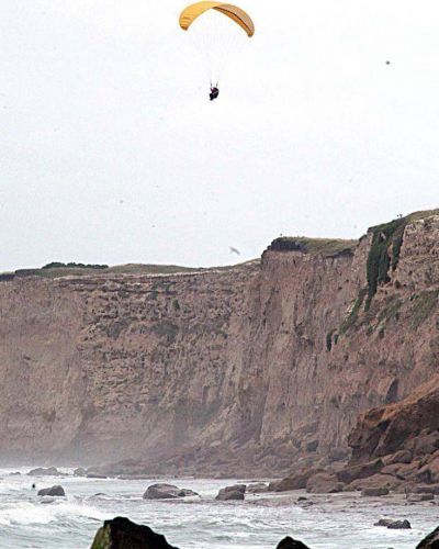 Ya es decreto la protecci�n del patrimonio paleontol�gico local