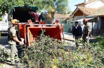 La Municipalidad de Vicente L�pez inici� el Plan de Poda para 2017