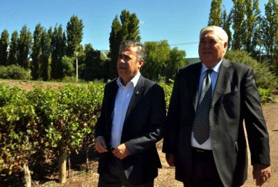 Trivento invertir� $ 75 millones en vi�edos