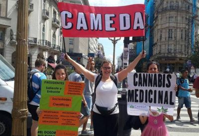 Avanza el debate sobre el uso terap�utico del cannabis en la provincia de Buenos Aires