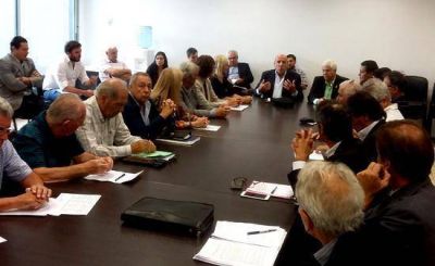 Fuerte respaldo de Profesionales a la divisi�n de Caaitba