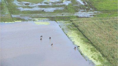 Banco Mundial aprob� u$s 300 millones para obras contra inundaciones