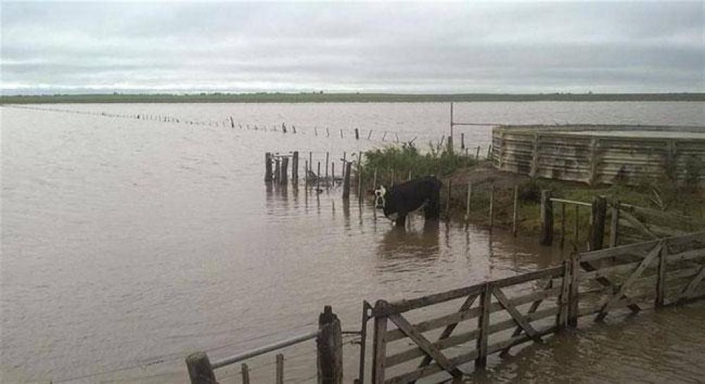 Inundaciones: los empresarios agr�colas, an�micamente devastados
