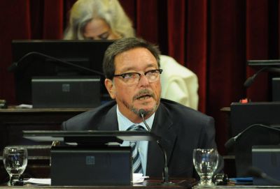 Guastavino cuestion� la actuaci�n de los actores judiciales que determinaron la liberaci�n del presunto asesino de Micaela 