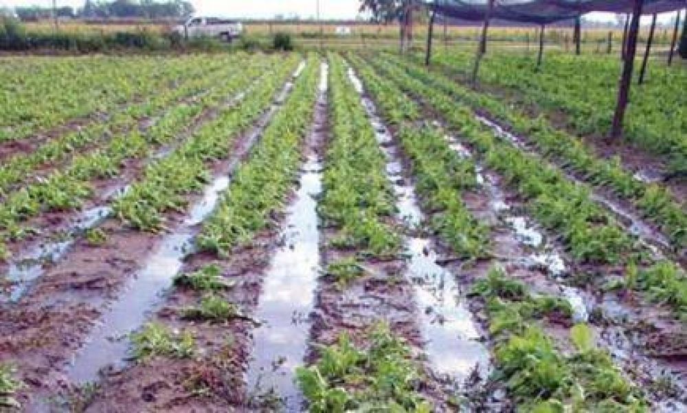 En Misiones: productores de Ferias Francas vieron sus productos �arrasados� por el agua