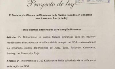Beder y Madera en el Congreso por la tarifa el�ctrica diferenciada