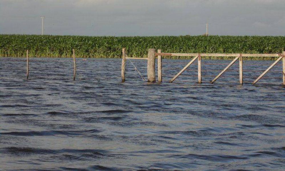 Chacareros inundados apuntan contra los paliativos menores del Gobierno