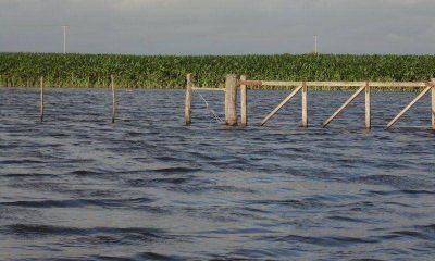 Chacareros inundados apuntan contra los �paliativos menores� del Gobierno