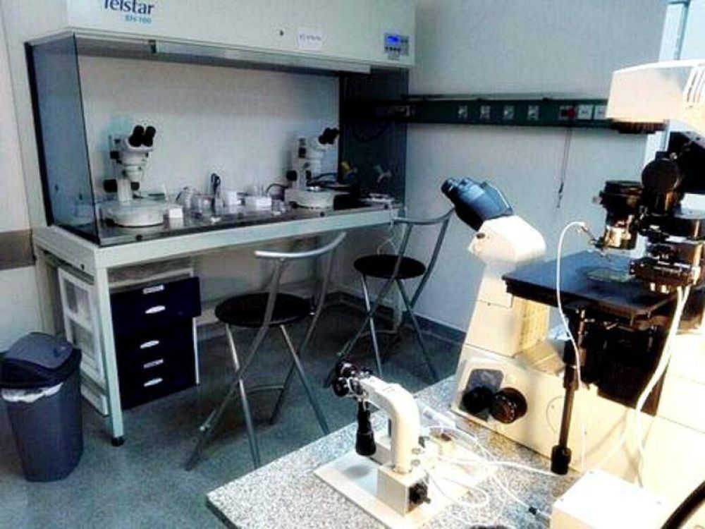 En el Hospital San Martn de La Plata funciona el primer laboratorio pblico de fertilizacin asistida