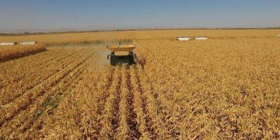 Santa Fe es la segunda provincia exportadora, con una participaci�n de 24% del total del pa�s