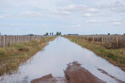 Decretaron la Emergencia Vial en la provincia por seis meses m�s