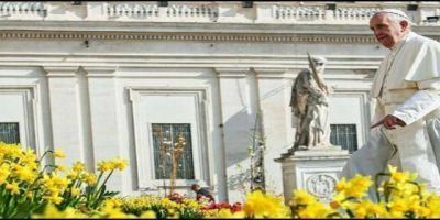 El Papa en el 'regina coeli': 