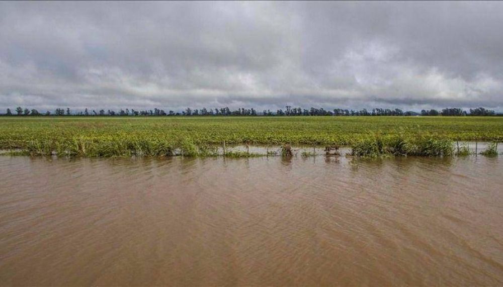 Pequeos productores fueron los ms afectados por las lluvias