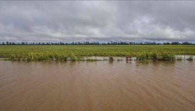 Peque�os productores fueron los m�s afectados por las lluvias
