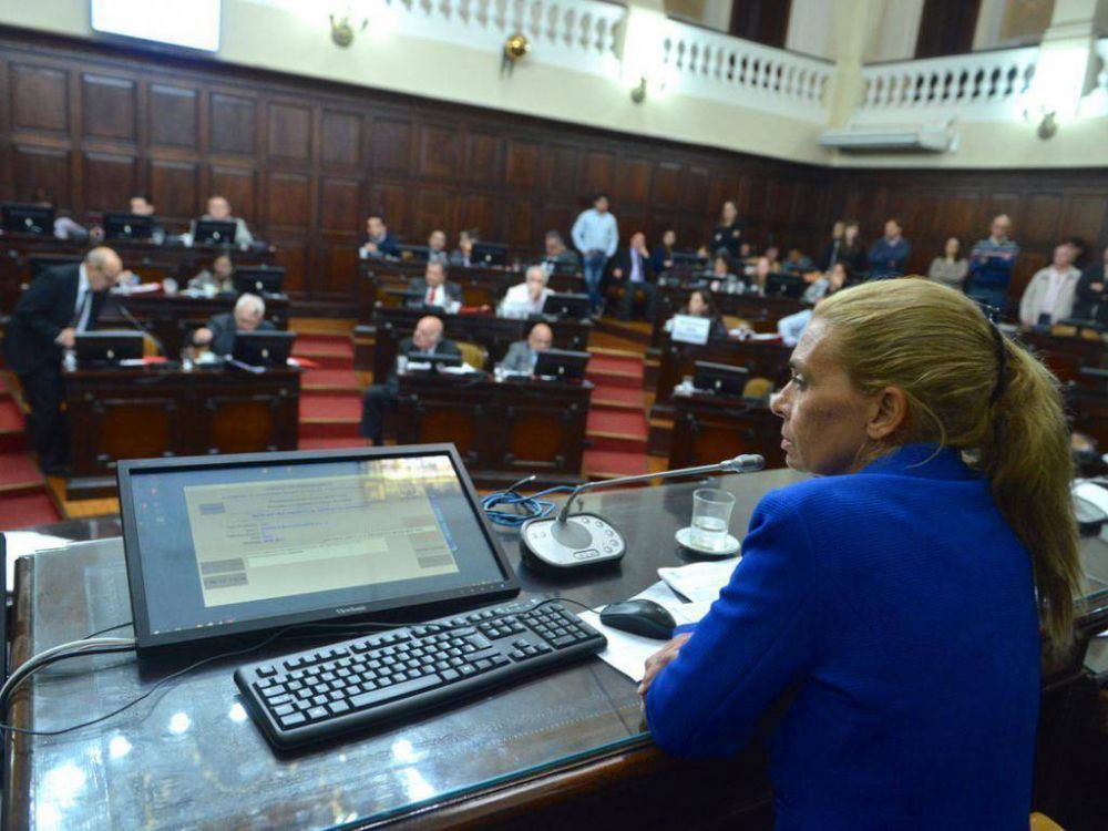 Con pol�mica por las colectoras y el cupo femenino, avanza la Reforma Electoral