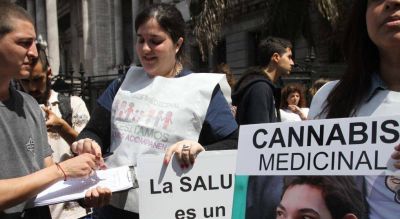 El Gobierno promulg� la ley que habilita el uso medicinal del cannabis
