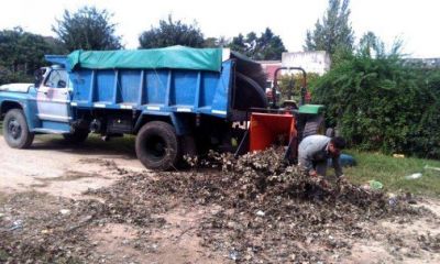 Con el uso de una chipeadora, el Municipio intentar� solucionar la acumulaci�n de ramas en la calle