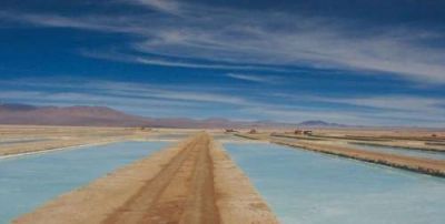  Sin valor agregado, Salta enamora empresas extranjeras para la extracci�n de litio