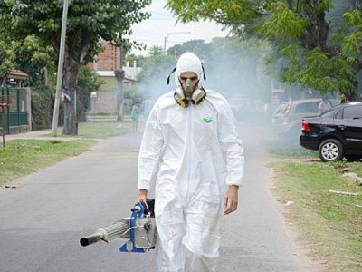 Dengue: marcado descenso de casos en todo el distrito