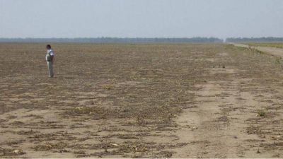 Urtubey invita a invertir en tierras a�n vedadas a la producci�n
