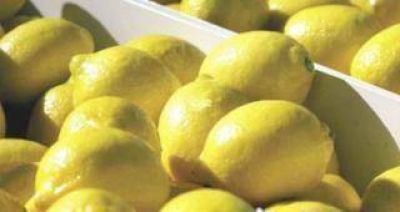 Argentina intentar� reactivar las exportaciones de biodiesel y limones en la reuni�n bilateral entre Macri y Trump