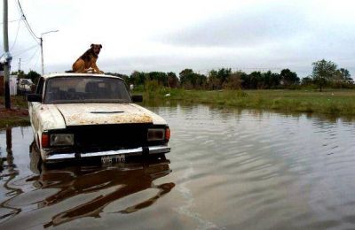 Baj� el agua: son 250 mil las hect�reas inundadas