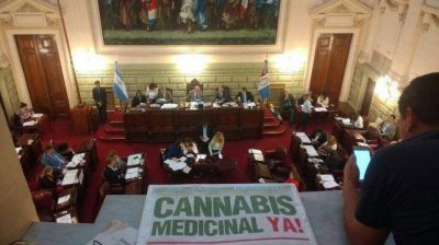 La provincia tendr� un consejo asesor en pol�ticas de cannabis medicinal