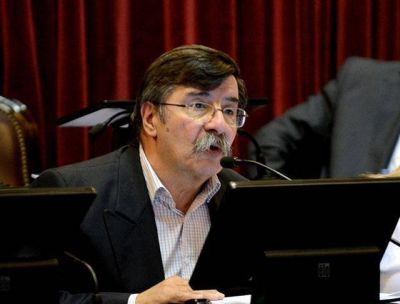 Alfredo Mart�nez pidi� �andar con baldes de agua y no de nafta�