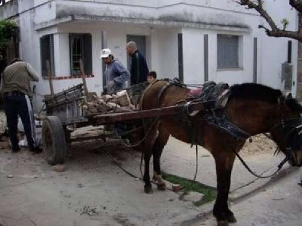  La Municipalidad extender�a el censo de carreros