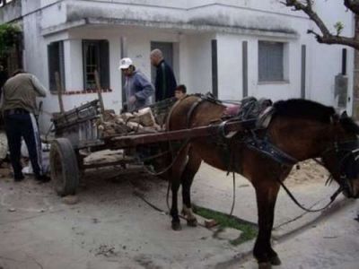  La Municipalidad extender�a el censo de carreros