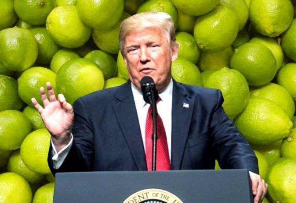 Estados Unidos volver a importar limones argentinos
