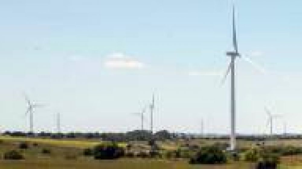 Comenzaron los trabajos para la instalaci�n de un parque e�lico en Bah�a Blanca