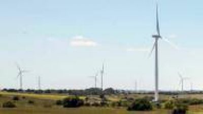 Comenzaron los trabajos para la instalaci�n de un parque e�lico en Bah�a Blanca