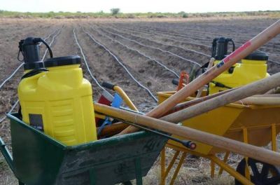 �Parcelas hort�colas�: creciente demanda de familias de San Luis para producir verduras