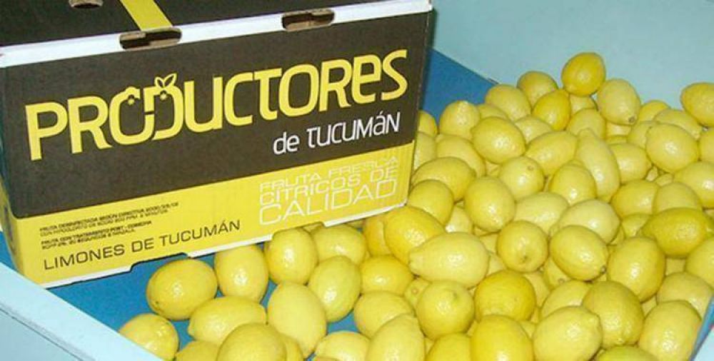 El Gobierno quiere instalar una f�brica de pectina en Tucum�n