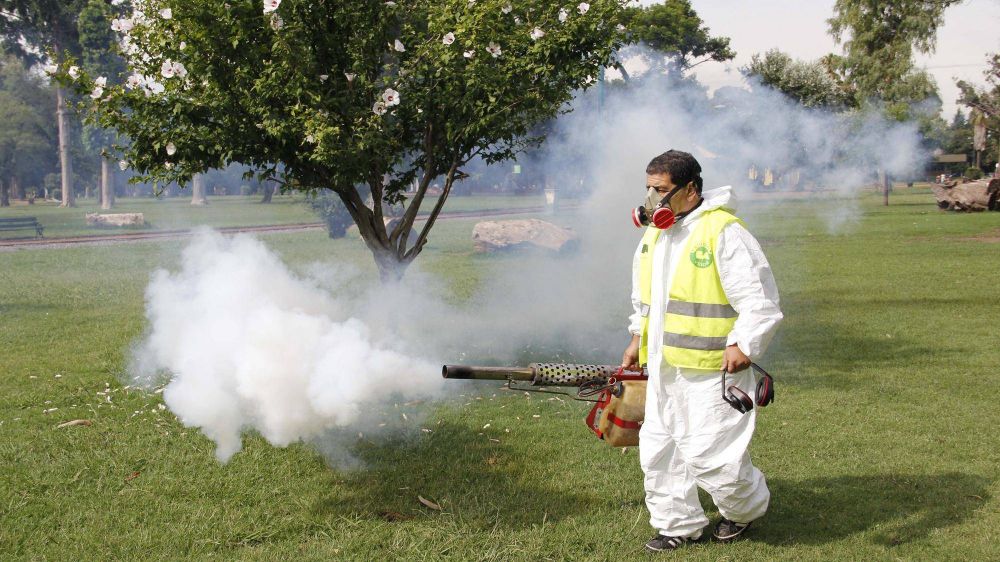 Piden que se fumigue por los mosquitos