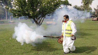 Piden que se fumigue por los mosquitos