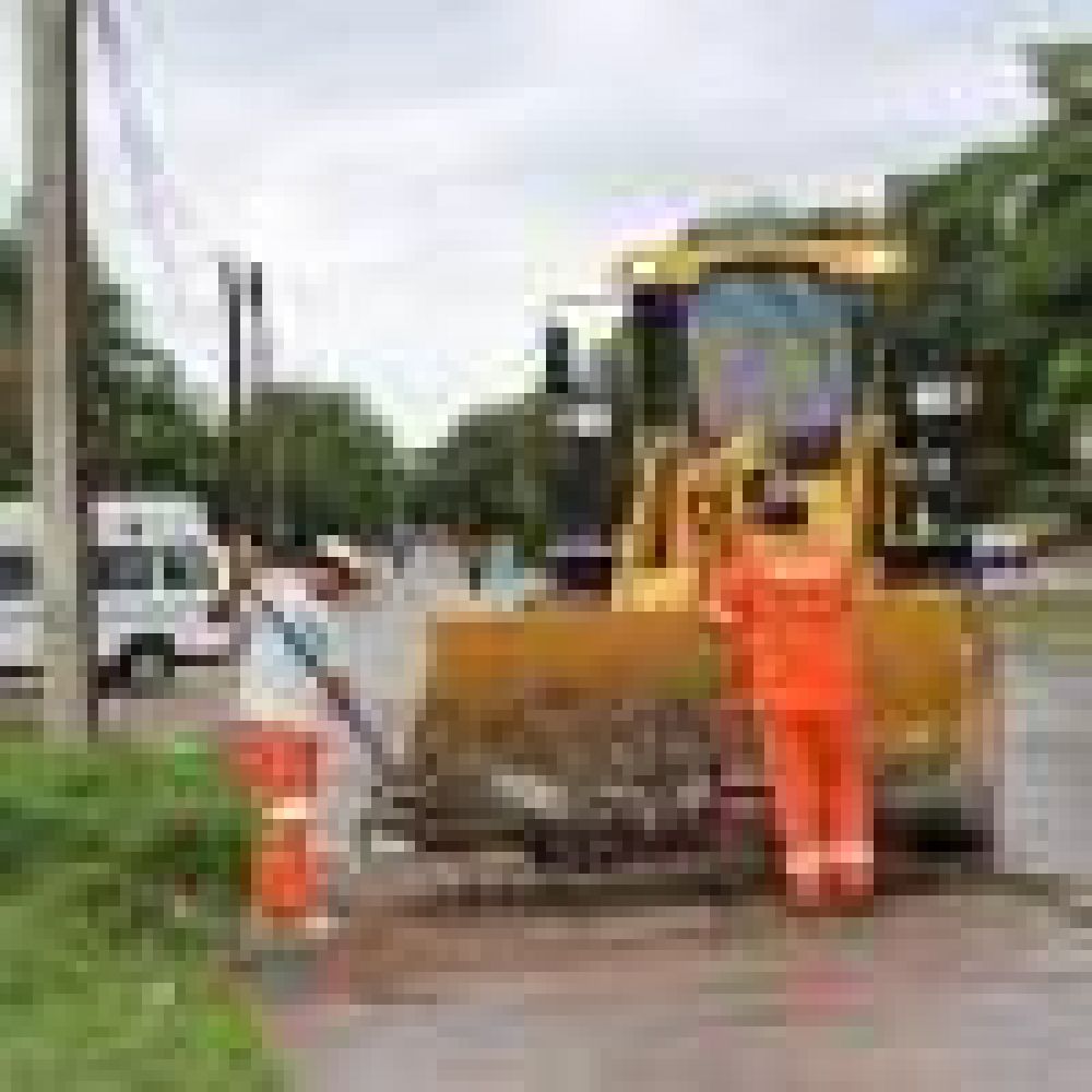El municipio capitalino contin�a erradicando minibasurales