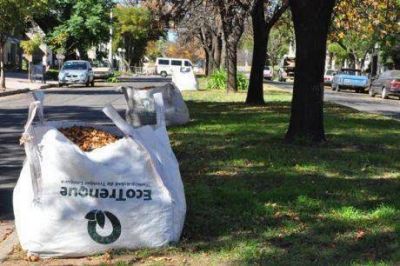 Se intensific� el trabajo de barrido, rastrillaje y recolecci�n de hojas en Trenque Lauquen