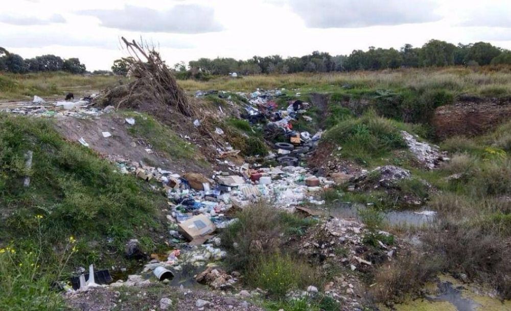 Fuertes multas por arrojar basura en la v�a p�blica