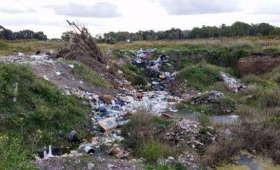 Fuertes multas por arrojar basura en la v�a p�blica