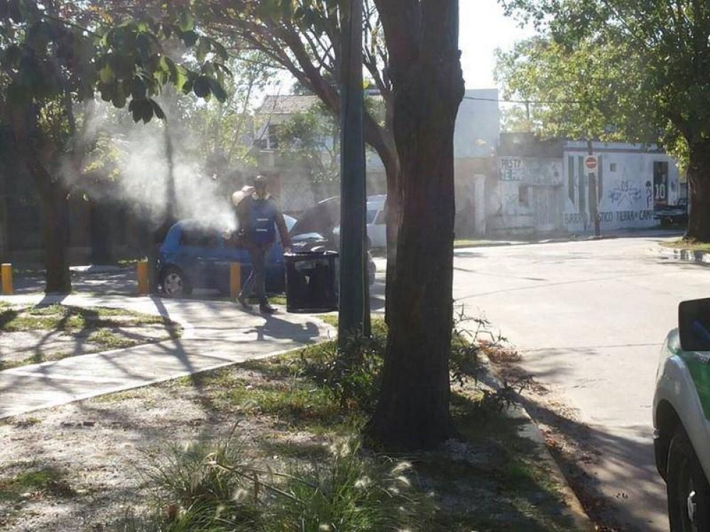 Lomas: refuerzan la fumigaci�n ante la proliferaci�n de mosquitos