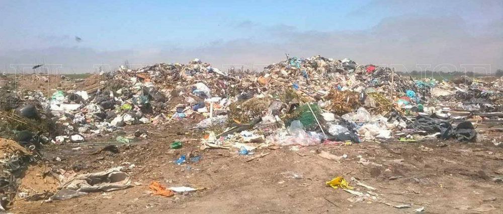 Recuperadores s�lo reciclan un 20% de la basura