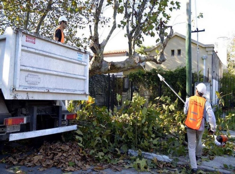 Poda: 500 vecinos ya pidieron permiso