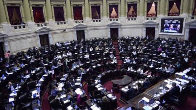 La oposici�n exigir� que el tema se debata hoy en Diputados