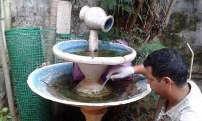 ALERTA DENGUE: SEG�N EL �LTIMO LIRAA, DE CADA 100 CASAS, 14 TIENEN CRIADEROS DE AEDES EEGYPTI