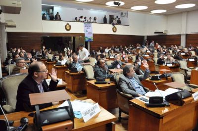 Aprobaron la utilizaci�n medicinal del cannabis