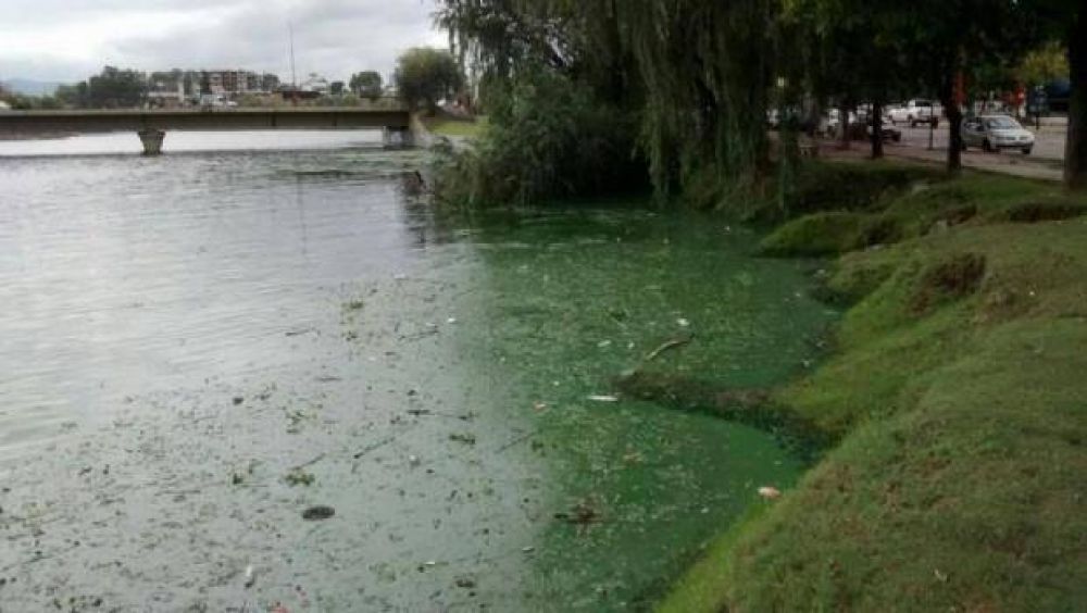 Carlos Paz: La contaminaci�n del San Roque no afecta la calidad del agua