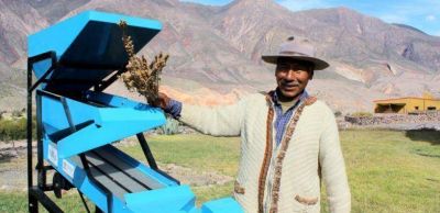 EL GOBIERNO POSICIONA LA QUINUA COMO MEDIO DE DESARROLLO SUSTENTABLE