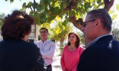 Cambiemos denunci� candidaturas testimoniales